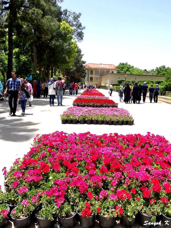 1802 Shiraz Eram Garden Bagh e Eram Шираз Сад Эрам Райский сад