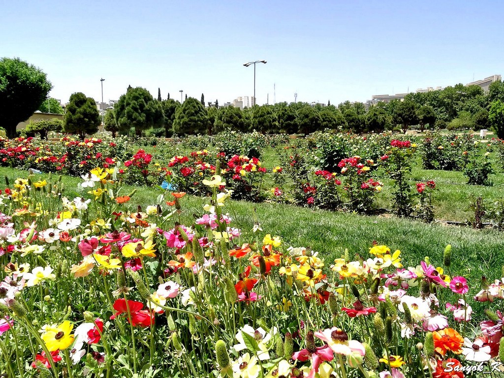 1804 Shiraz Eram Garden Bagh e Eram Шираз Сад Эрам Райский сад
