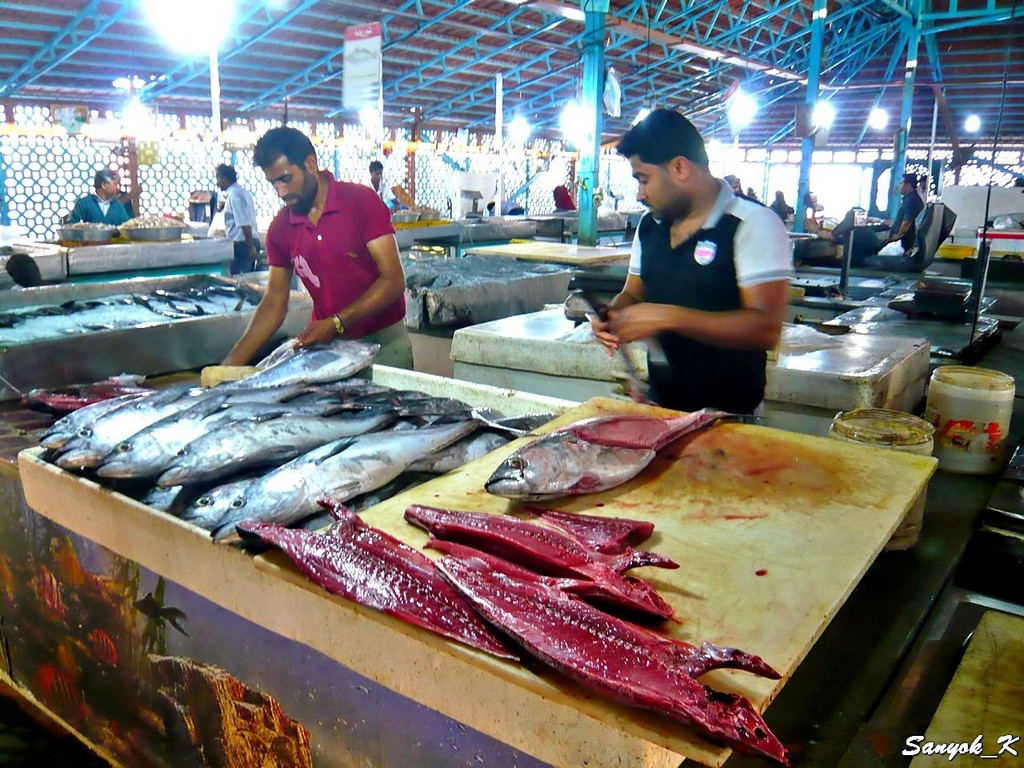 0998 Bandar Abbas fish market Bazar Mahi Foroshi Бендер Аббас Рыбный рынок