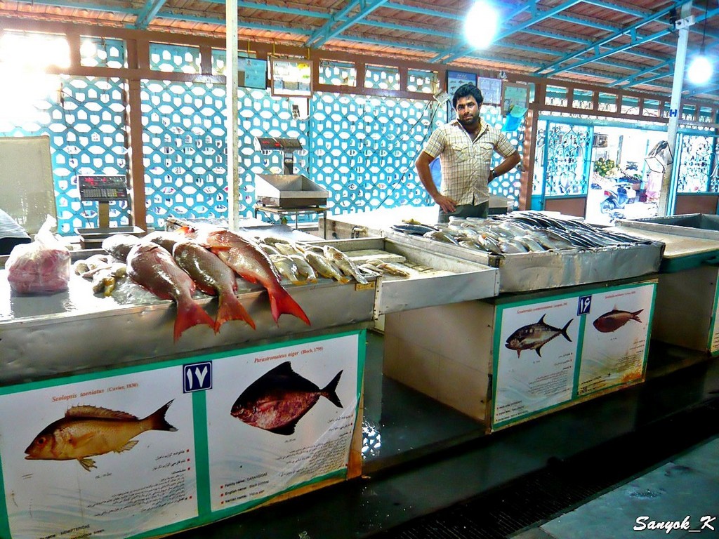 1000 Bandar Abbas fish market Bazar Mahi Foroshi Бендер Аббас Рыбный рынок