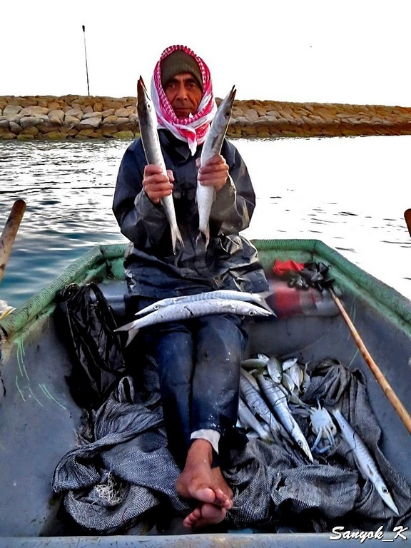 3202 Bandar Charak fishing Бендер Чарак рыбалка
